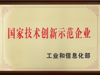 國(guó)家技術(shù)創(chuàng)新示范企業(yè)